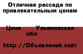 Отличная рассада по привлекательным ценам › Цена ­ 4 - Ульяновская обл.  »    